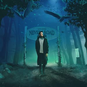 Nevers Road by Witt Lowry